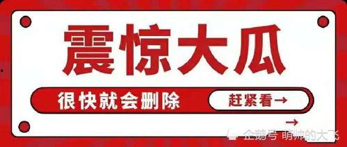 吃瓜娱乐素材网站大全,一网打尽热门八卦！