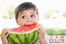 吃瓜搞笑系统娱乐圈小说,吃瓜搞笑，笑料百出
