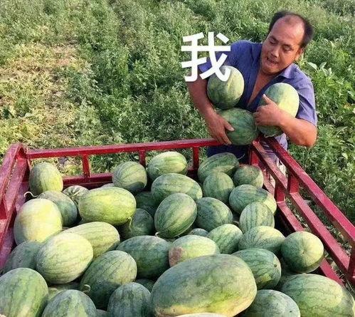 可以吃瓜娱乐圈,揭秘明星幕后故事