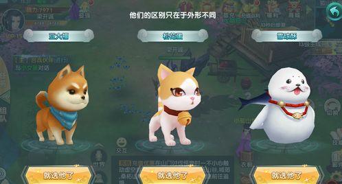 娱乐吃瓜宠物小说