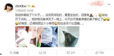 吃瓜er娱乐,揭秘娱乐圈幕后故事，带你领略明星真实生活